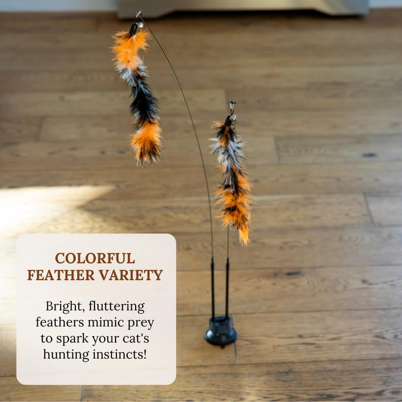 Interactive Cat Toys For Indoor Cats Cat Chew Toy Catnip Toys For Cats Suction Cup Cat Toys For Indoor Cats Cat Wand Toys For Indoor Cats Cat Toys Wand Feather Wand Cat Toy Cat Nip Toys Cat Kitten Bundle 9 - BeesActive Australia