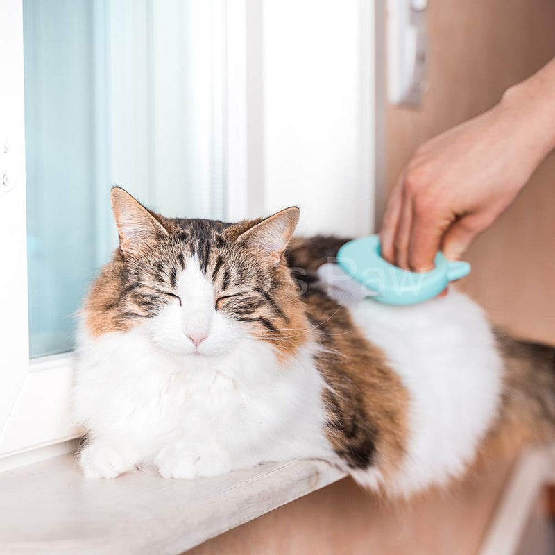 Leo's Paw The Original Pet Hair Removal Massaging Shell Comb Soft Deshedding Brush Grooming and Shedding Matted Fur Remover Dematting tool for Long and Short Hair Cat Dog Puppy Bunny (Mint) Mint - BeesActive Australia