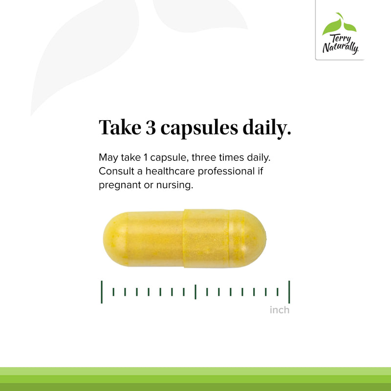 Terry Naturally Curamin - Curcumin Supplement for Circulation & Endorphin Support - Support for Occasional Discomfort - Aids Healthy Muscles - 60 Capsules 60 Count (Pack of 1) - BeesActive Australia