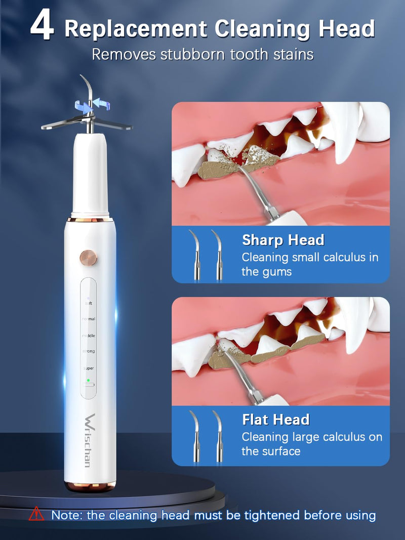 Dog Tartar Remover for Teeth, Electric Plaque Remover for Teeth with LED Light, Dog Teeth Cleaning Kit with 5 Modes and 4 Cleaning Head, Safe for Dog and Cat White - BeesActive Australia