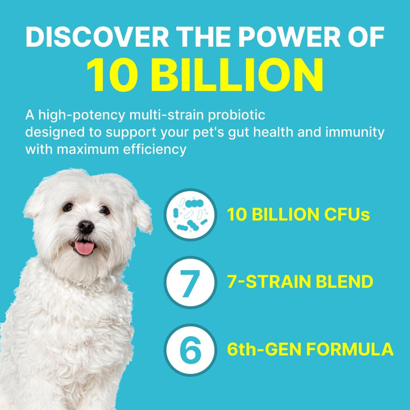 Probiotic Supplement for Dog and Cat - 10 Billion CFU Powder for Sensitive Stomach, Gas, Diarrhea & Seasonal Allergy Itch Relief - Easy to Feed (1 Pack, 30 Count)