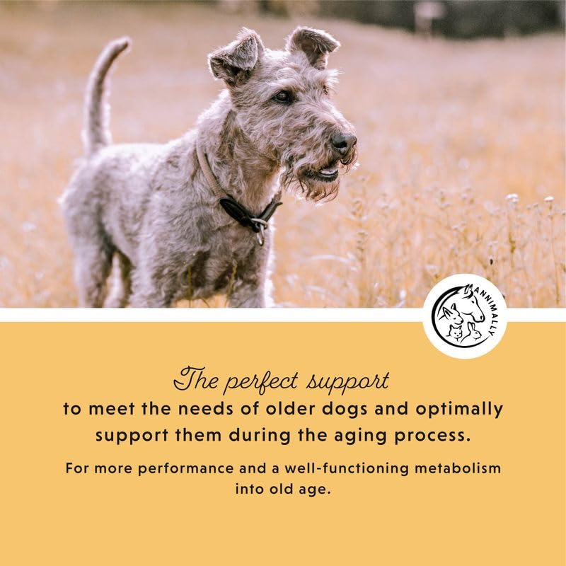 Annimally Senior Vital Tablets for Dogs 120 pcs. - Daily Supplements for Senior Animals with Spirulina, Rosehip & Ginger, Made in Germany