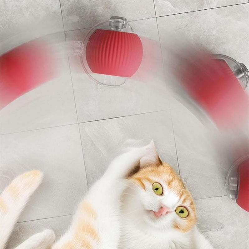 3PC Interactive Dog Toys,Interactive Dog Ball Electric Dog Ball Toy Rollie Pet Cat Toy Interactive Rolling Ball Cat Toy 360° Automatic Rolling Toy Ball for Dog/Cat (Red+Green+Grey) 3pc red,green,gray - BeesActive Australia