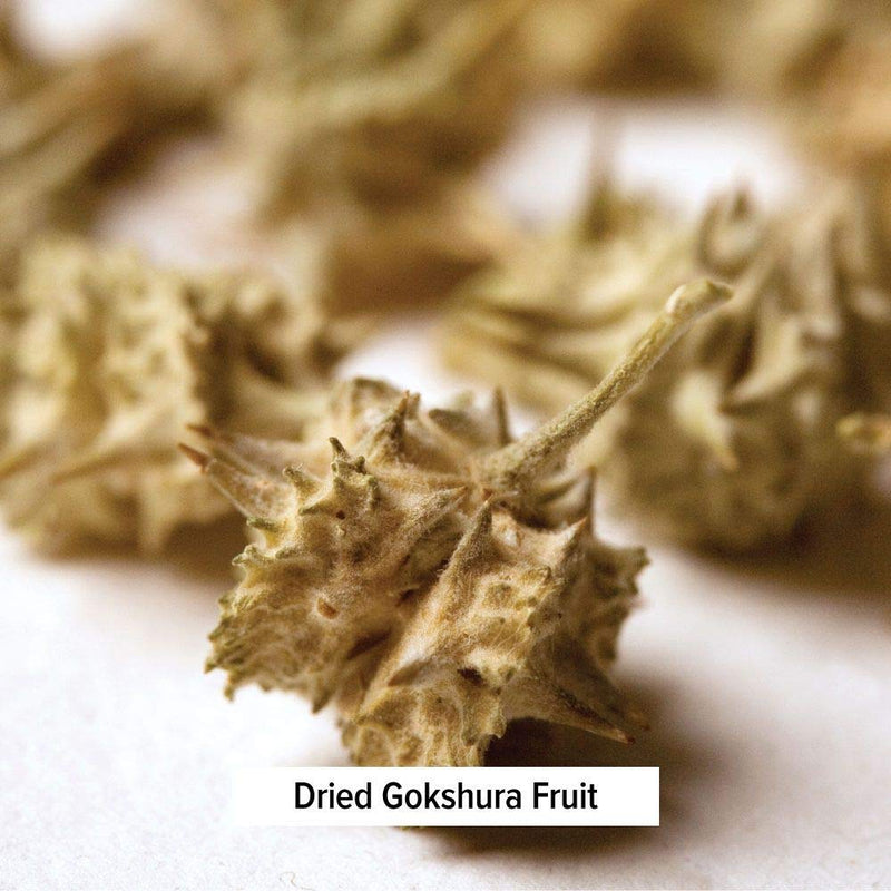 Banyan Botanicals Gokshura Powder– Organic Tribulus Terrestris Fruit – Rejuvenating Tonic for Kidney & Adrenal Health, Stress, and Male Vitality* – ½lb. – Non-GMO Fair for Life Fair Trade Certified 8 Ounce (Pack of 1) - BeesActive Australia