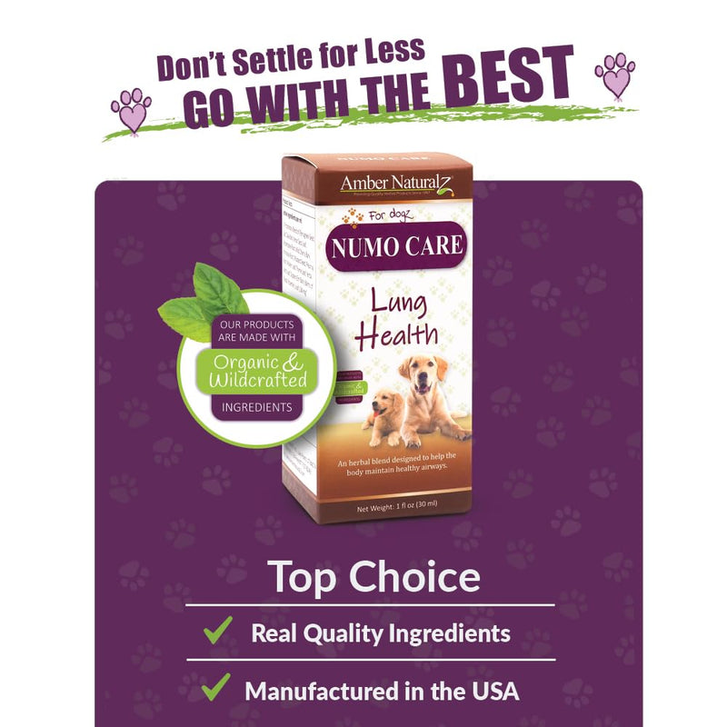 Amber NaturalZ Numo Care Lung Health Herbal Supplement for Dogs | Canine Herbal Supplement for Bronchial Support and Respiratory Lung Health | 1 Fluid Ounce Glass Bottle | Manufactured in The USA 1 Ounce (Pack of 1) - PawsPlanet Australia