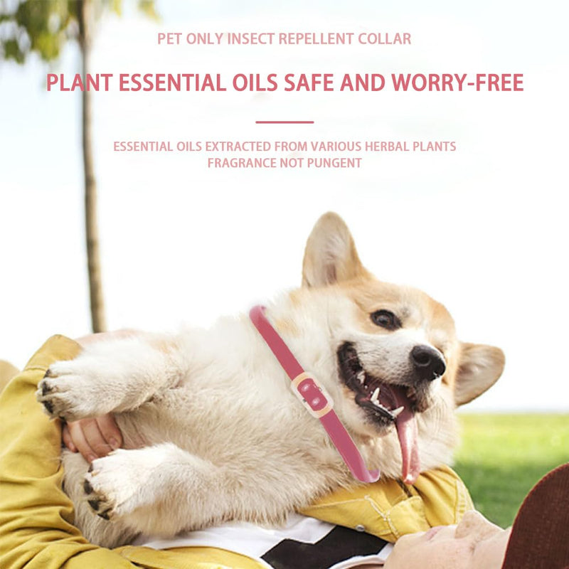 BKEPDY Dog Collar for Dogs Tick Collar for Cat Flea Collar Adjustable Collar for Dogs and Cats with Natural Ingredients Environmentally Friendly Material Pink - BeesActive Australia