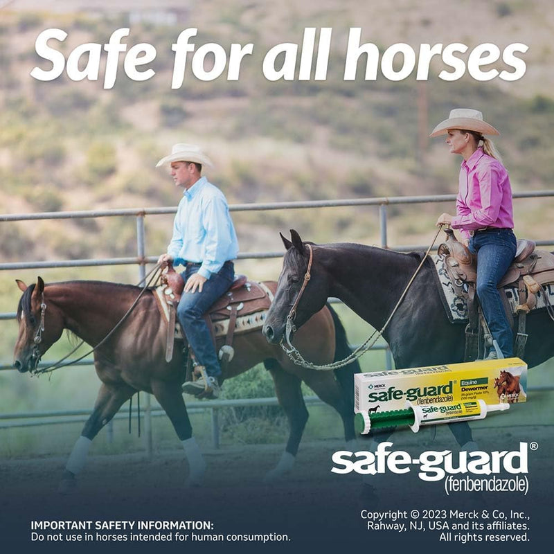 Merck Animal Health Safe Guard Equine Dewormer Paste - BeesActive Australia