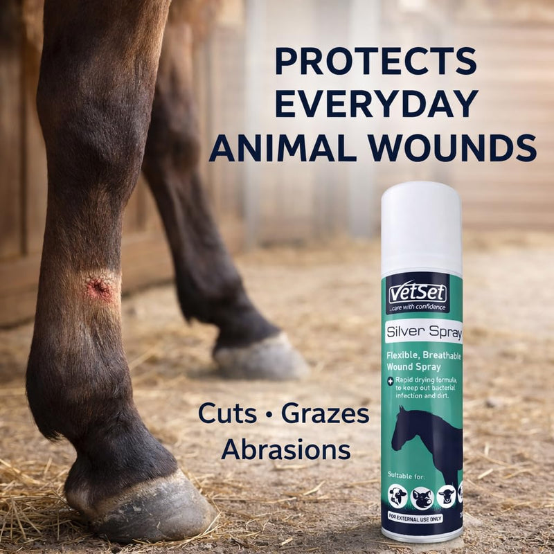 Silver Aluminium Spray for Animal Wounds | Veterinary Antiseptic Silver Spray for Horses, Dogs, Livestock & Equine Use | Breathable Protective Coating for External Wounds & Abrasions, 250ml Silver Spray 250ml (Pack of 1)