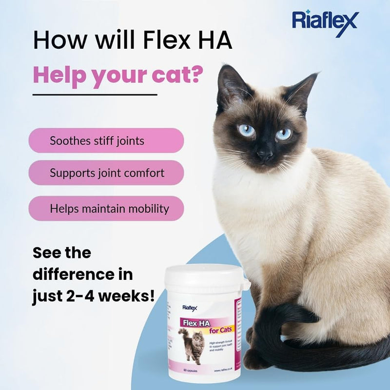 Flex HA for Cats | Max Strength combination of Glucosamine, MSM, Green Lipped Mussel & Hyaluronic Acid, with added antioxidants designed to soothe stiff joints, aid mobility - 60 capsules