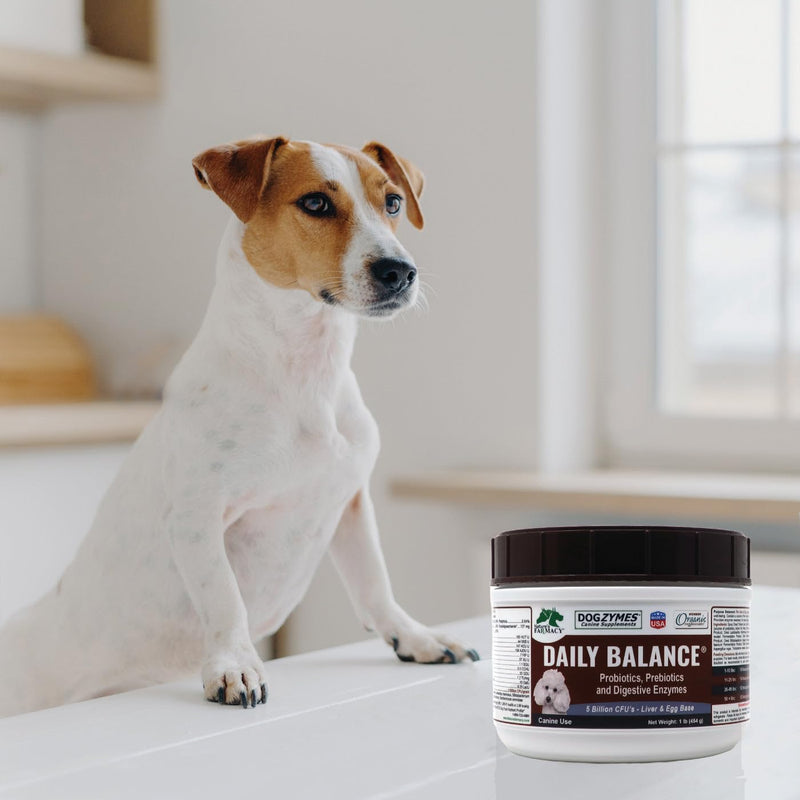 Dogzymes Probiotic Daily Balance - Supplies Nutritional Support and Live microorganisms for intestinal Well-Being as Well as enzymes for Proper Digestion. (8 Ounce) 8 Ounce