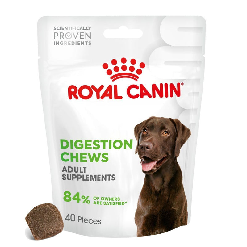 Royal Canin Dog Supplement for Digestion Soft Chews 160g