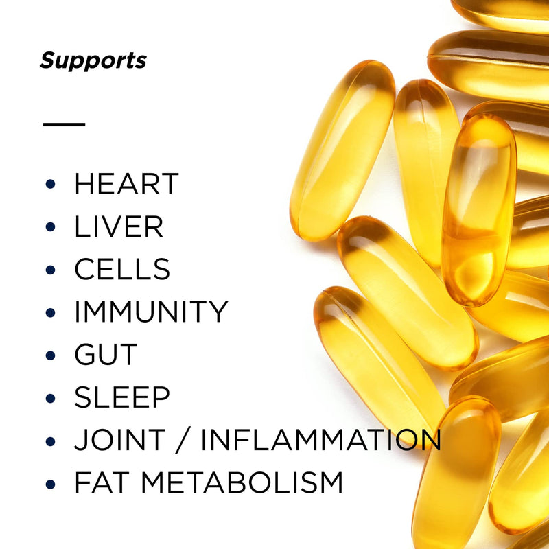 Primitive Scientific Nordic Pure Oil Complex (60 Fish Oil Capsules) for Brain, Immunity & Vision - Heart Supplement w/EPA, DHA, Vitamin D3, Choline - Omega 3 Supplements