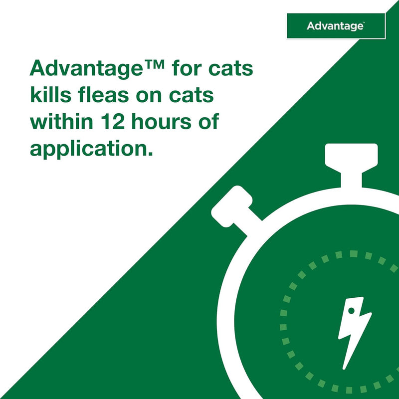 Bundle of Advantage Topical Cat Flea Treatment and Prevention for Small Cats 2-9 lbs. + Advantage Household Spot & Crevice Spray | Kills Fleas & Ticks & Bedbugs | 24 oz. Small Cat + Household Spray