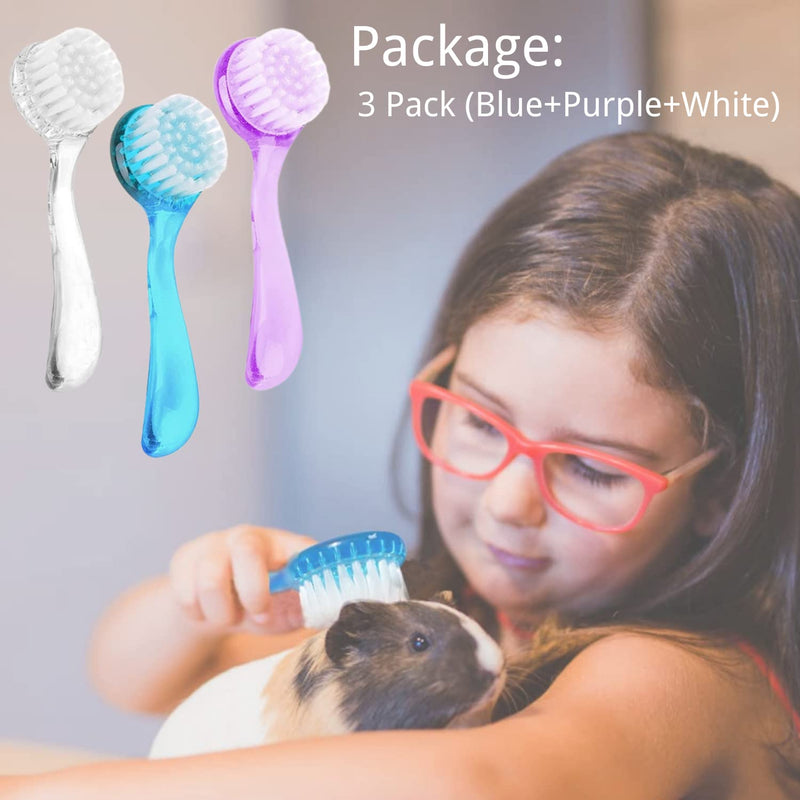 3 Pack Hamster Brush - Small Animal Bath Brush with Lid Soft Cleansing Brush Massage Combs for Hedgehog Guinea Pig Rabbit Chinchilla Ferret Small Animal Grooming Tool Cleaning Supplies (3 Pack) 3 Pack - BeesActive Australia