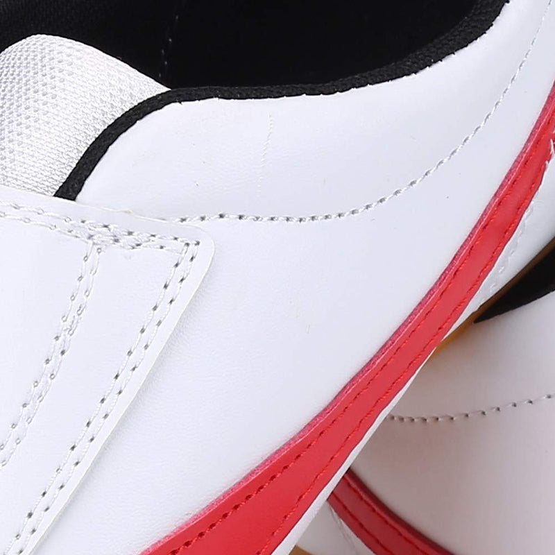 VGEBY1 Taekwondo Shoes, Unisex Wear Kung Fu Tai Chi Shoes for Children and Adults Sport Gym Accessory(38)