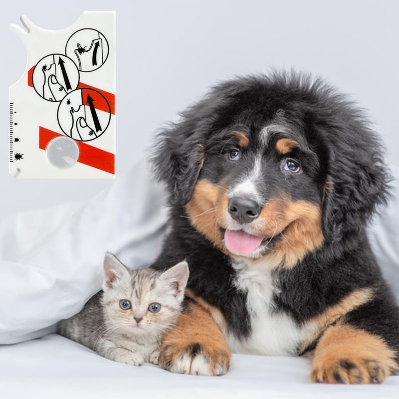 Tick card, tick scale card with magnifying glass, quick cleaning of ticks, tick card for people, children, dogs, cats - BeesActive Australia