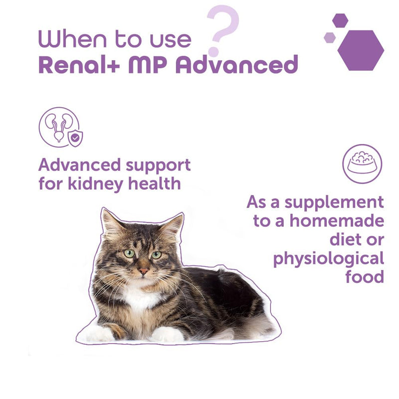 Renal+ MP Advanced for Dogs & Cats - Daily Kidney Support with B-Vitamins, Potassium & Omega-3 – Helps Maintain Renal Function & Vitality – Sprinkle Capsules
