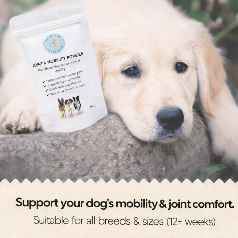 TPHT Dog Joint Supplement – Hip & Joint Supplement for Dogs – Joint Supplements for Dogs with Stiff Joints – Daily Joint Care for Dogs – Mobility Support for Older Dogs – 60g
