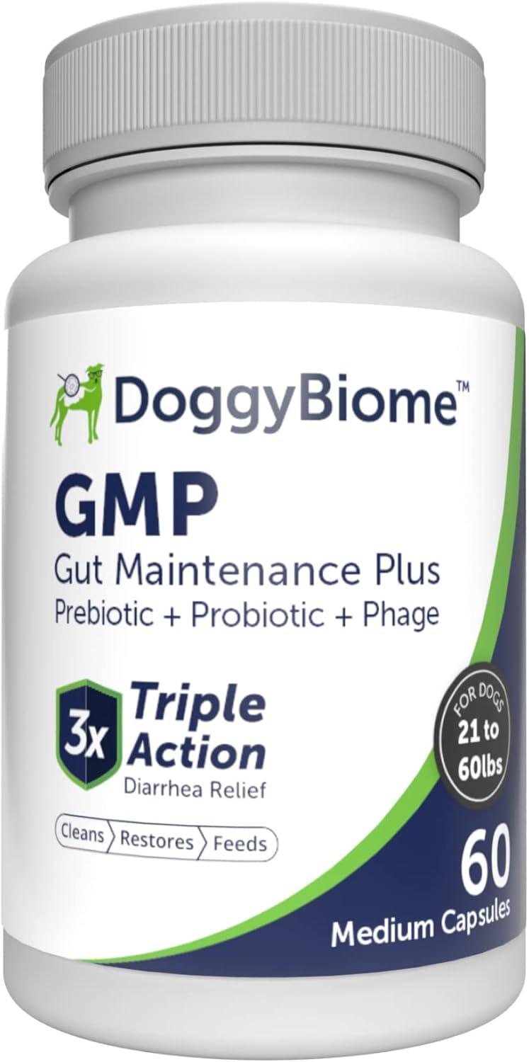 DoggyBiome Gut Maintenance Plus Dietary Supplement for Dogs - Triple Action Formula Helps Reduce Diarrhea Caused by Antibiotics, C. Difficile, or E. Coli - BeesActive Australia