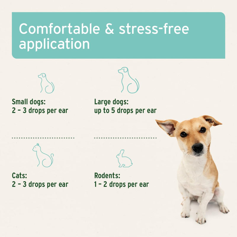 AniForte Ear Mite Drops 50ml for Dogs, Cats, Rodents and Pets - gentle support in case of ear mites, natural ear-drops
