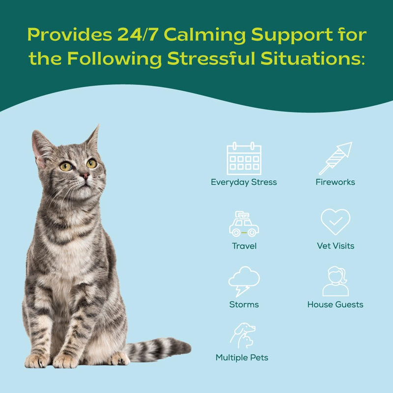 Pheromone Calming Collar for Cats Up to 30 Days Stress Relief Promotes Calmness, Reduces Hiding, Excessive Meowing, Urine Marking, Aggression, Travel Stress Drug-Free, Vet-Tested - PawsPlanet Australia