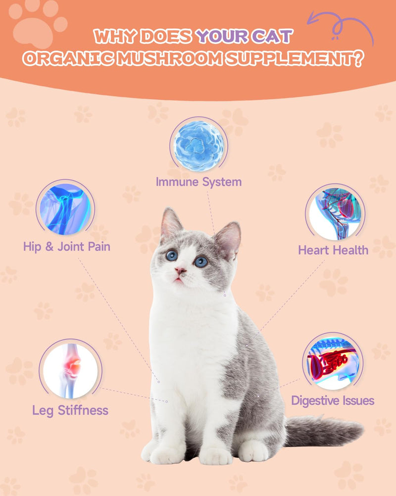 Collagen for Cats - Grass Fed Cat Collagen Drops - Cat Joint Supplement - Skin & Coat, Digestive & Immune Support - Senior Cat Supplement with MSM, Hyaluronic Acid, Biotin - Roast Chicken Flavor