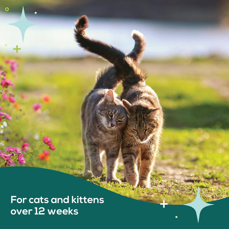 Pheromone Calming Collar for Cats Up to 30 Days Stress Relief Promotes Calmness, Reduces Hiding, Excessive Meowing, Urine Marking, Aggression, Travel Stress Drug-Free, Vet-Tested - PawsPlanet Australia