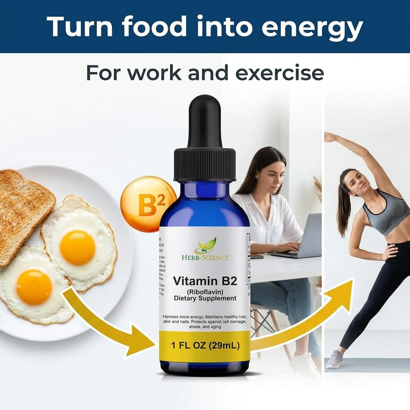 Vitamin B2 Liquid Drops, Riboflavin, Alcohol-Free, 1 Oz | Made with Only 3 Premium Ingredients, Vegan and Non-GMO, in an Easy-to-Take Liquid Formula Bottled in Protective Cobalt Glass 1 Fl Oz (Pack of 1)