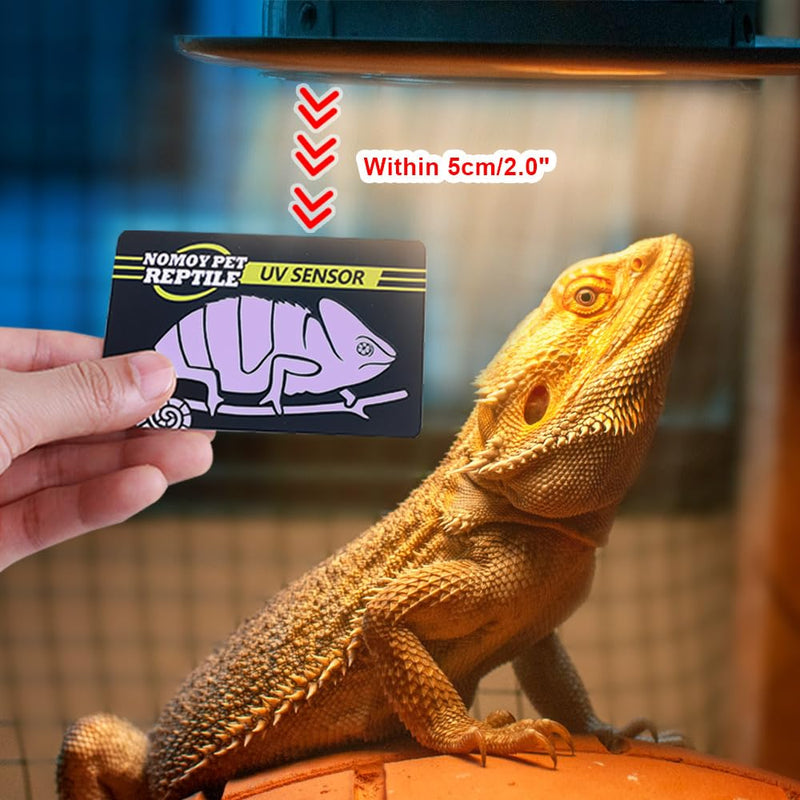 DONGKER UV Test Card, 2/4PCS Reptile Quick Test UVB Sensor, Easy to Carry, Reusable 500 Times for Reptile UV Testing 4PCS - BeesActive Australia