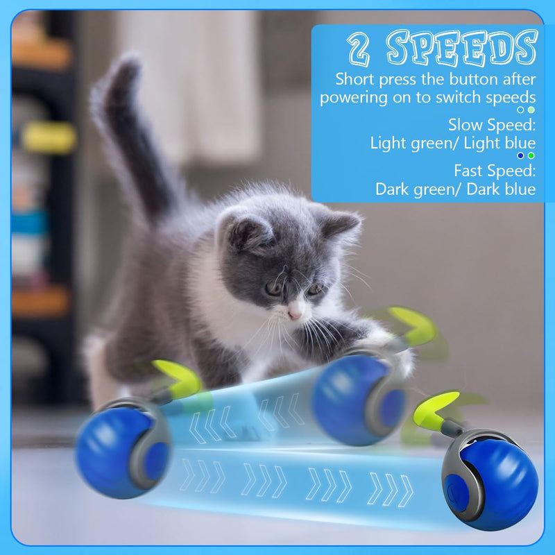Speedy Tail 2.0,Speedy Tail Cat Toy,Smart Interactive Cat Toy Balls,Automatic Moving Balls for CatTouch Motion Rolling Cat Toy Ball,Self Rolling Smart Cat Toy Ball Interactive Cat Toys with Tail Blue - BeesActive Australia