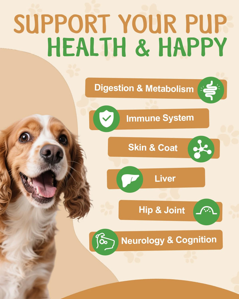 9 in 1 Mushroom for Dogs - Mushroom Supplement for Dogs - Digestive, Skin, Joint, Immune System - with 9 Mushrooms - Roast Chicken Flavor, 60ML