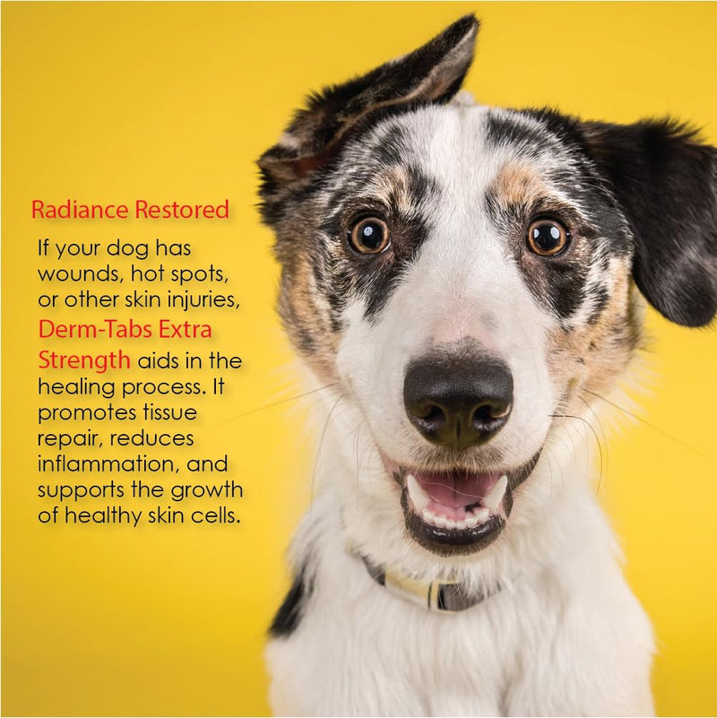 Derm Tabs Extra Strength for Dogs - Natural Oil, Vitamins, Minerals, and Antioxidants - Support Healthy Skin and Reduce Shedding -60 Chewable Tablets