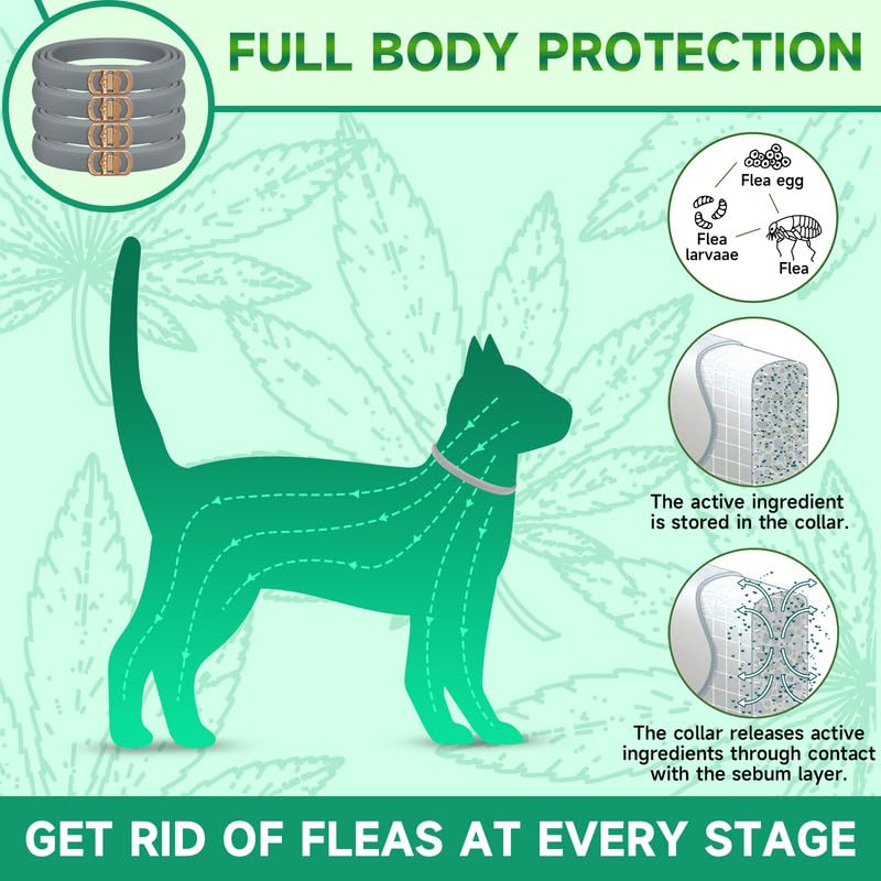 4 Pack Flea Collar for Cats, Adjustable Flea and Tick Collar for Cats, 8 Months Protection Cat Flea and Tick Treatment Collar, Flea and Tick Prevention for Cats, Waterproof Cat Flea Collar 4 Pack Grey - BeesActive Australia
