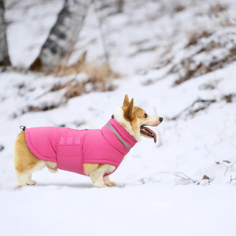 Dog Coat, Waterproof Dog Jacket Dog Winter Coat Dog Cold Weather Coats, Warm Windproof Dog Snow Jacket Clothes, Reflective Adjustable Turtleneck Dog Coats for Small Medium Large Dogs Pink - BeesActive Australia