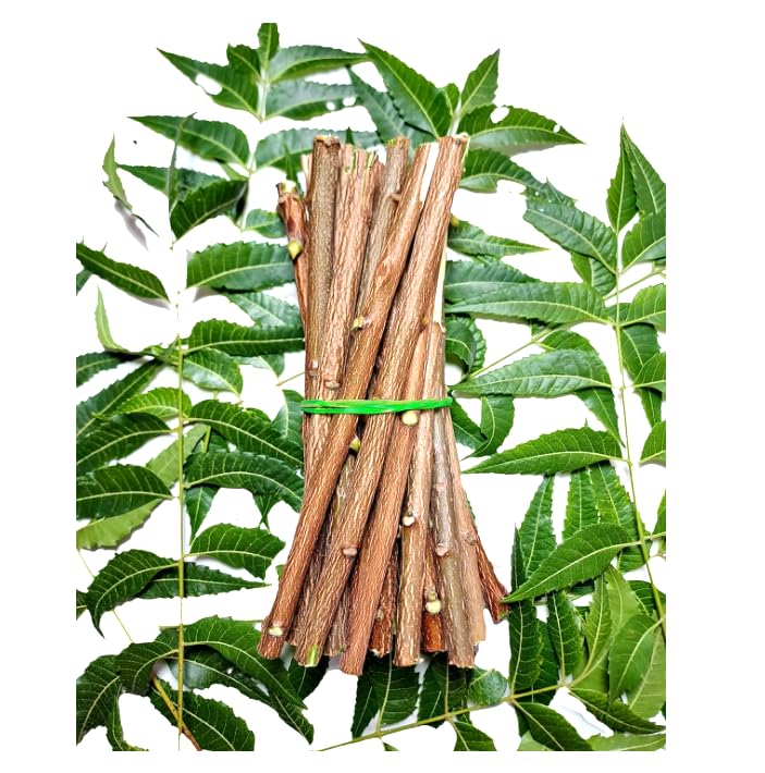 Ayurvedic Neem Datun Sticks, Half Sun Dried Neem Twigs, Vacuum Packed Wooden Chew Sticks, Daily Use Brushing Alternative, 6-8 Inch, Pack of 10 & 1 Piece Free
