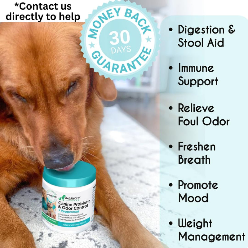 Balanced Breed Dog Probiotics Digestive Gut Health Chew Made in USA Non-GMO Vet-Pharmacist Approved Fortiflora Probiotics Dogs Anti Yeast Supplement Constipation Relief Dog Yeast Itchy Skin Itchy Ears Natural Chicken Protein - PawsPlanet Australia