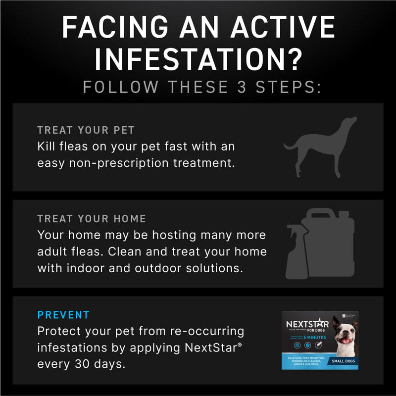 NEXTSTAR Flea and Tick Prevention for Dogs, Repellent, and Control, Fast Acting Waterproof Topical Drops for Small Dogs, 1 Month Dose Small Dogs (5-22 lbs) 1 Dose - BeesActive Australia