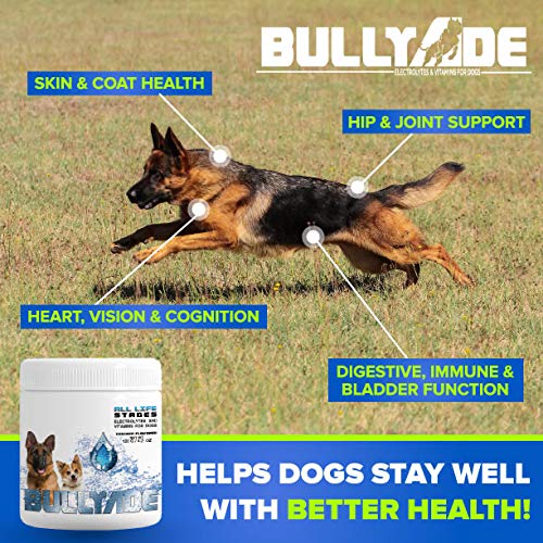 Natural Dog Supplement with 18 Vitamins & Minerals. Mixes with Water or Food. (Chicken) Chicken