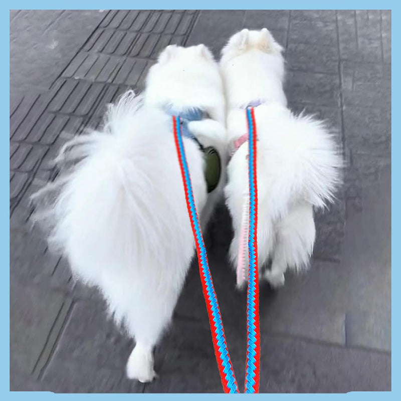 Two Dog Leash Splitter – Heavy-Duty No-Tangle Double Dog Leash with Multi-Layer Braided Rope, Zinc Alloy Clips, and Durable Fixed-Length Design for Walking Two Dogs - BeesActive Australia