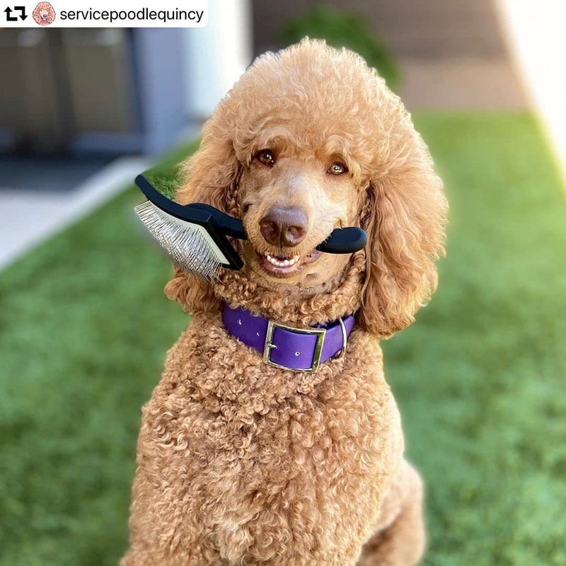 Chris Christensen Big K Dog Slicker Brush for Dogs (Goldendoodles, Labradoodles, Poodles), Groom Like a Professional, Fluff Detangle Style, Saves Time Energy, Black, Large - BeesActive Australia