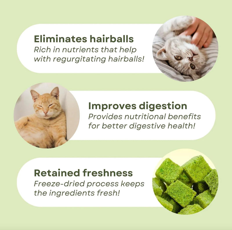 Meowly 110g Cat Grass Treats for Teeth Cleaning and Hairball Removal, Natural Dried Cat Grass Teething Stick Snacks for Cats 3.8 Ounce (Pack of 1)