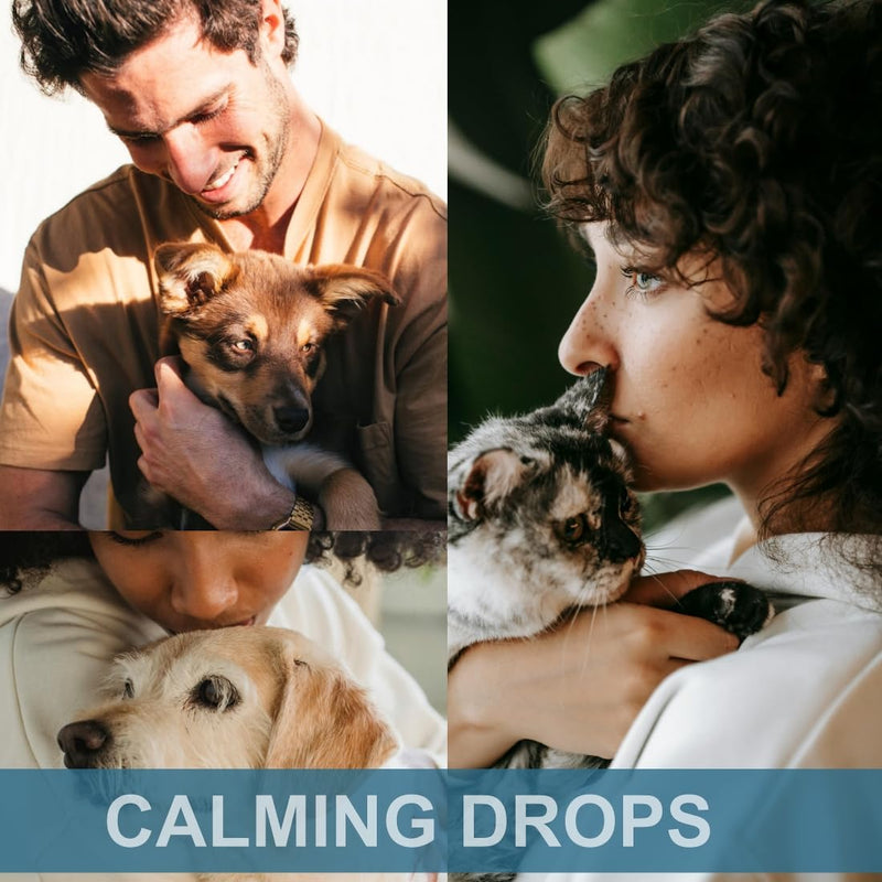 Calming Drops for Dogs and Cats - Calmness and Pets Well-Being - 6 in 1 Formula with L-Theanine Valerian Lemon Balm Chamomille - 120 Servings - Made in USA - Bacon Flavor 4oz - PawsPlanet Australia