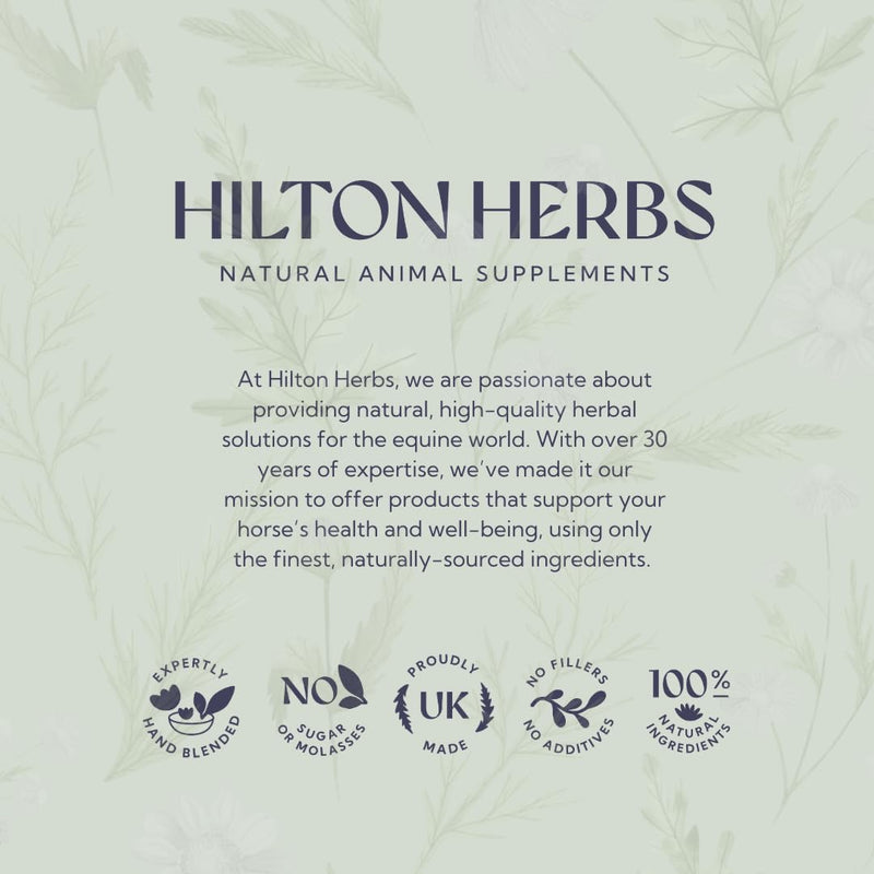 Hilton Herbs Vital Daily Health Natural Dog Supplement. 100% Natural Ingredients. Vital Vitamins and Mineral for Optimum Health. Suitable for BARF and Raw Diet. 60 g