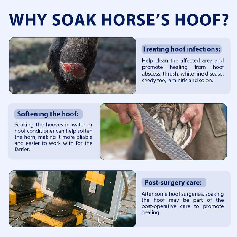 COMFPET Hoof soaking boots for hoof problems, treatment shoe for horse hooves, horse hoof-wrapped boots, for hoof injuries, thrush horses, bacterial infections, 1 piece blue - BeesActive Australia