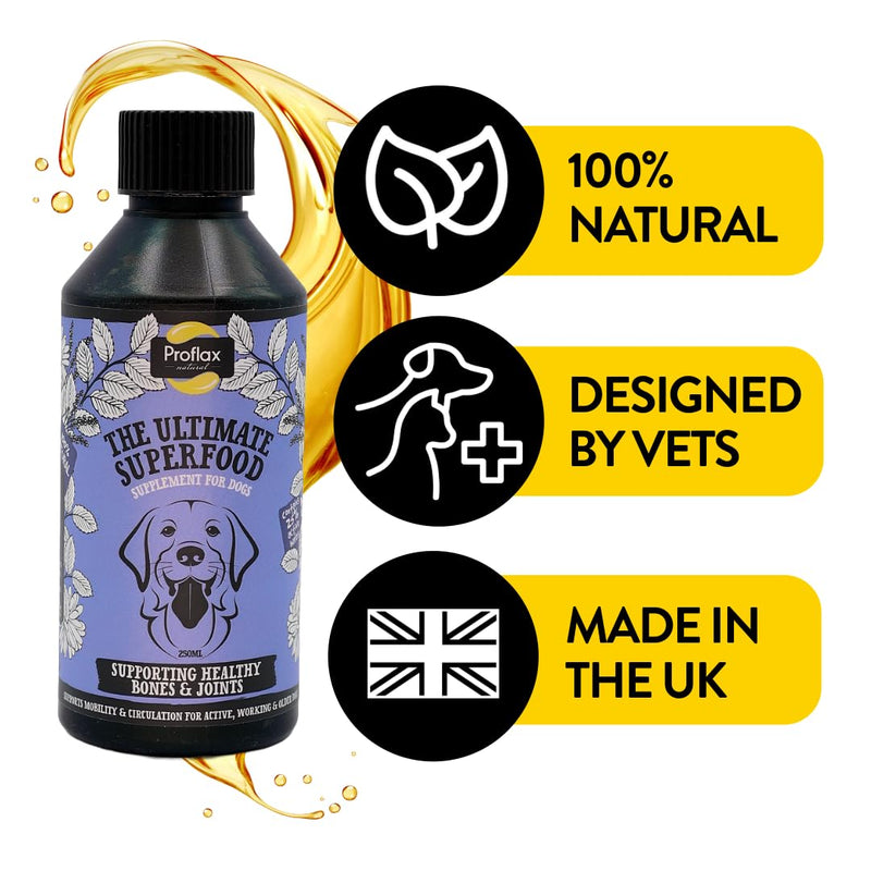 Proflax Joint Support for Dogs | Bone & Joint Mobility Supplement | Natural Support for Stiffness, Flexibility & Movement - 100ml