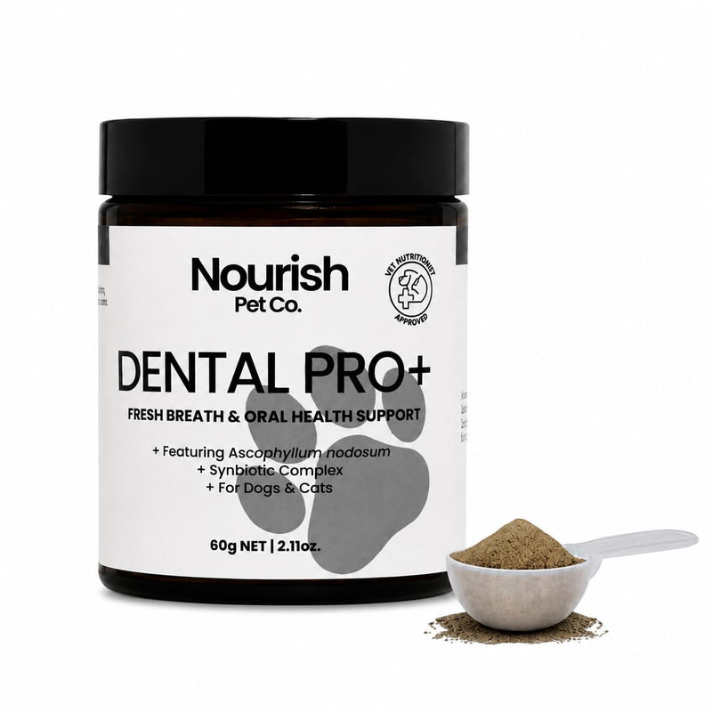 Nourish Pet Co. Dental Pro+ Pet Dental Powder, Cat & Dog Teeth Cleaning Powder, Breath Freshener, Fights Plaque and Tartar, Natural Ingredient Food Topper, 60 Servings