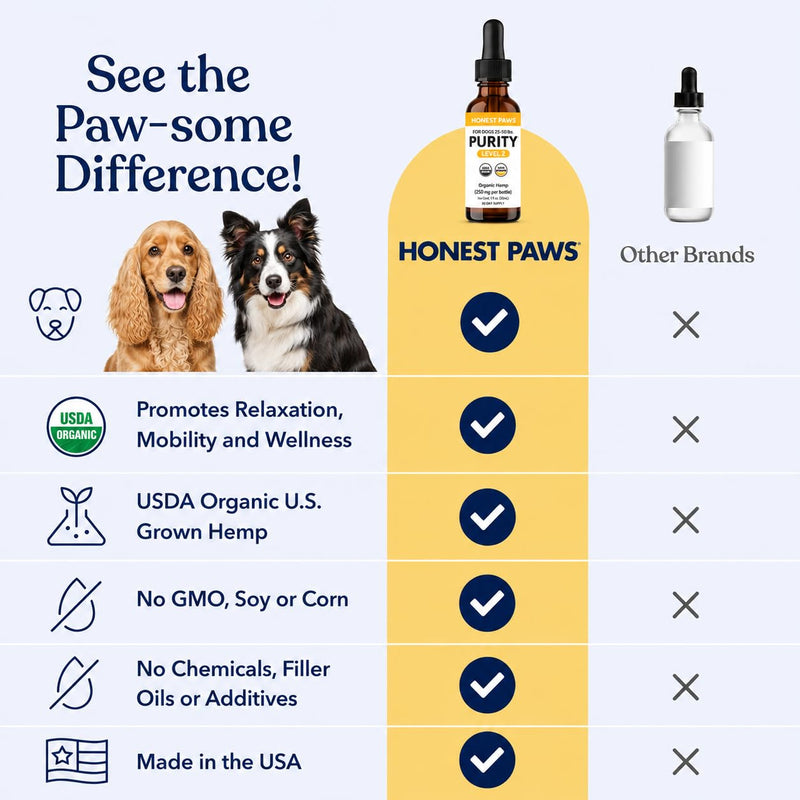 Honest Paws Hemp Oil for Dogs - Natural Hemp Seed Oil Drops Rich in Omega 3 6 9 - May Help Support Calm Behavior, Physical Comfort & Overall Wellness - Made in USA Level 2