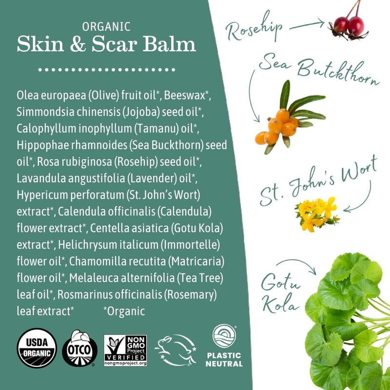 Earth Mama Organic Skin & Scar Balm |C-Section Recovery Skin Care, Pregnancy Stretch Mark Scar Cream with Organic Jojoba Oil, Tamanu Oil & Gotu Kola (2-Pack) 1 Fl Oz (Pack of 2) - BeesActive Australia