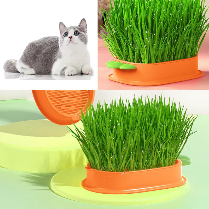 Esforzarse 2 pieces hydroponics cat grass box, cat grass growth set, cat grass germination tray for cat dogs pets, carrot cat grass tray growth set, cat grass germination tray - BeesActive Australia