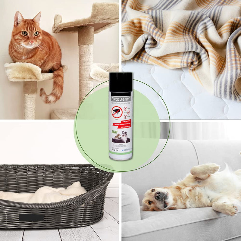Alfavet EktoDerm Big, environmental spray, for environmental treatment of flea infestations, insecticide, 500 ml for up to 170 m² - BeesActive Australia